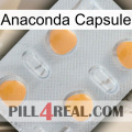 Anaconda Capsule 24